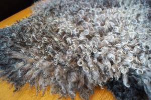 Skóry owcze - Gotland - 169194_fluffy-gotland-sheepskin