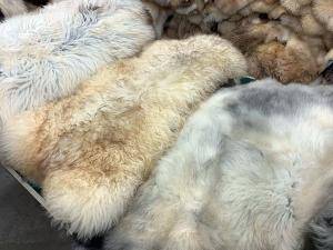 Skóry owcze - Naturalna skóra owcza - bioskraowcza
