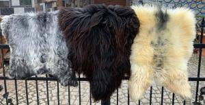 Skóry owcze - Heidschnucke - leathersheepskin