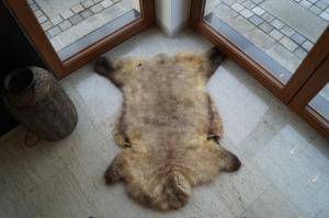 Skóry owcze - Meliert - Mocca - original-meliert-mocca-sheepskin
