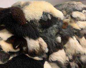 Skóry owcze - Naturalna skóra owcza - skraowczaadamleather