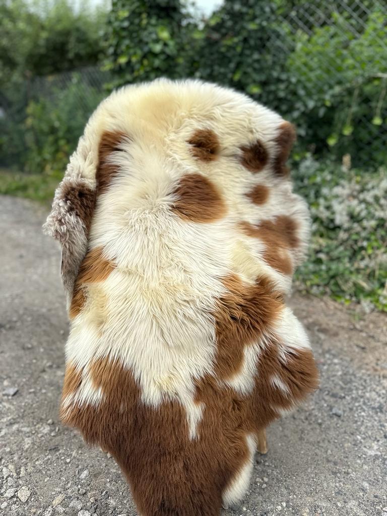 Skóry owcze - Szwedzkie - swedish-polka-dot-adam-leather