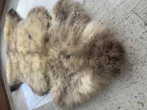 Skóry owcze - Meliert - Mocca - unique-meliert-mocca-sheepskin