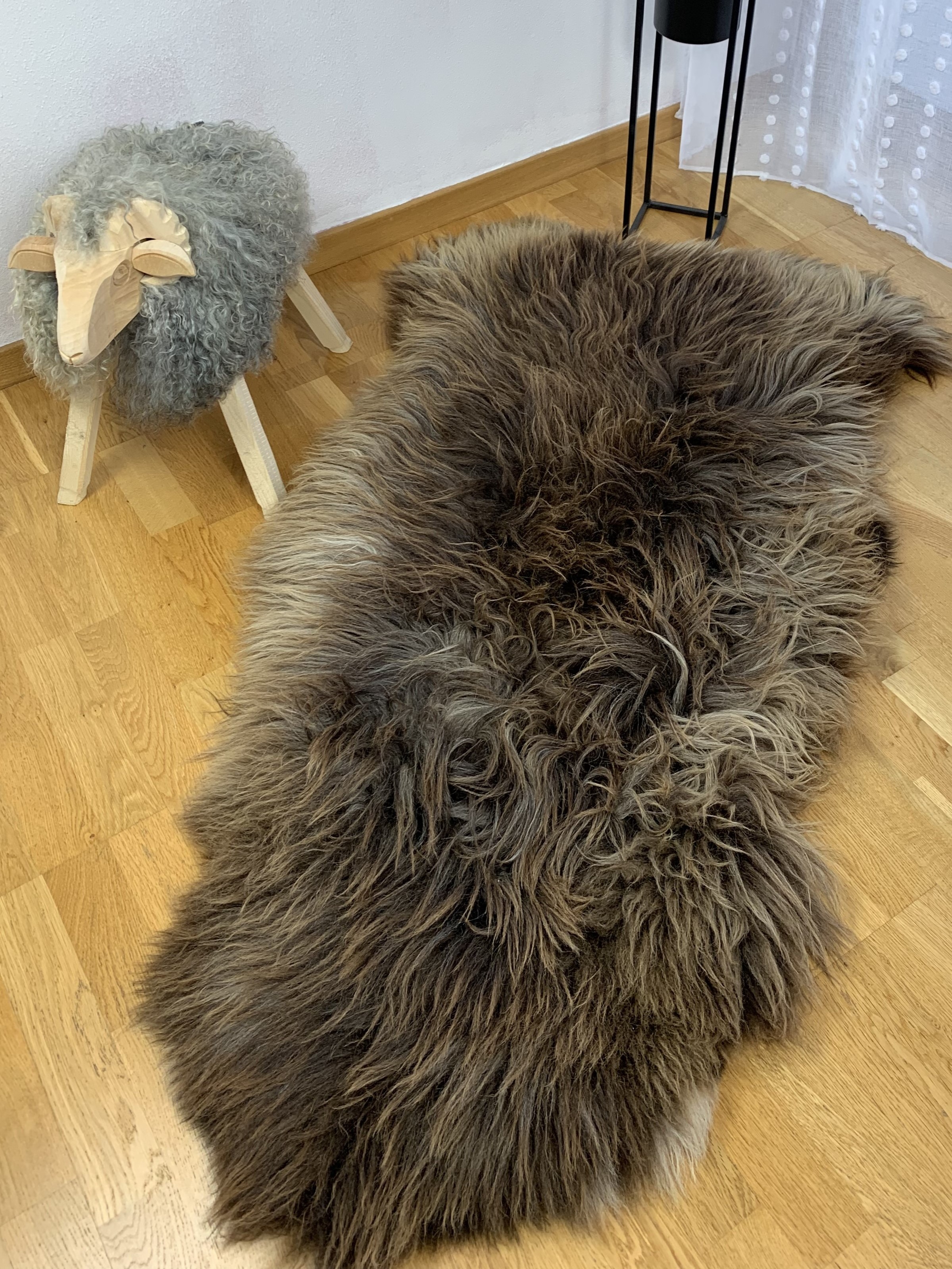 Skóry owcze - Owcza Skóra - hollandlonghair
