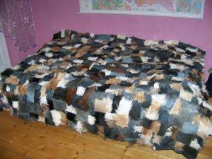 Skóry owcze - Skóry kozie - charming-goat-skins-adam-leather