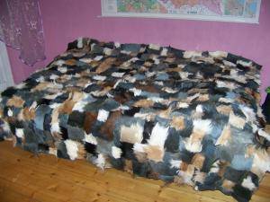 Skóry owcze - Skóry kozie - charming-goat-skins