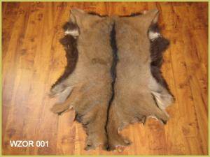 Skóry owcze - Skóry kozie - fine-goat-skins-adam-leather