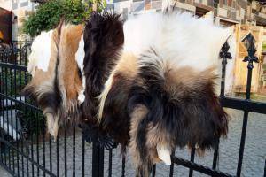 Skóry owcze - Skóry kozie - lovely-goat-skins-adam-leather