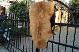 Skóry owcze - Skóry kozie - magnificent-goat-skins-adam-leather