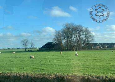 Skóry owcze - Naturalna skóra owcza, wełna, futro - różnorodność form, luksusowe tekstury, bogate kolory! To tylko kilka cech, które sprawiają że Nasze Skóry Owcze są wyjątkowym produktem w 100% naturalnym!