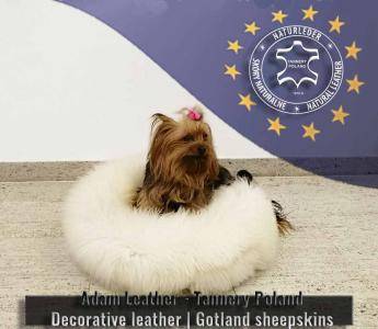 Skóry owcze - Legowiska - Wykonane przez Naturę - Stworzone przez Adam Leather - Garbarnia Polska - Skóra ozdobna | Gotlandzkie skóry owcze