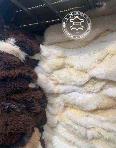 Skóry owcze - Luxemburg ! Nasze skóry owcze od Adam Leather