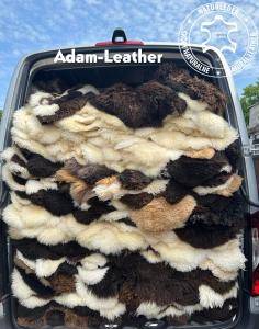 Skóry owcze - Podróż biznesowa do Stuttgartu w Południowo - Zachodnich Niemczech z naszymi naturalnymi skórami owczymi od Adam Leather!