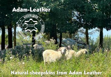 Skóry owcze - Siesta trwa w najlepsze! Skóra owcza! Stworzona przez Naturę - Wyprodukowana przez Adam Leather!