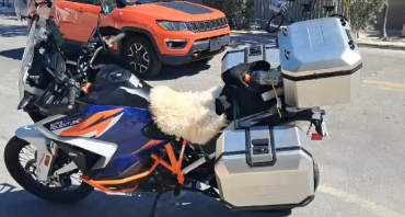 Skóry owcze - Skóry owcze – idealne materiały na siedzenia motocyklowe!