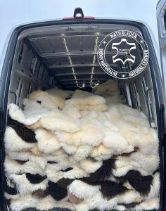 Skóry owcze - podróż biznesowa ze skórami owczymi od Adam Leather w Wiedniu 