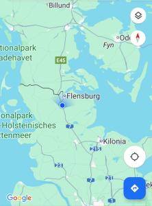 Skóry owcze - Podróż biznesowa do Flensburga z naszymi owczymi skórami od Adam-Leather!