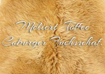 Skóry owcze - Meliert Toffi -  Owca lisa Coburg