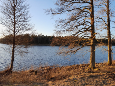Skóry owcze - Jedziemy w podróż biznesową do klientów ze Szwecji!