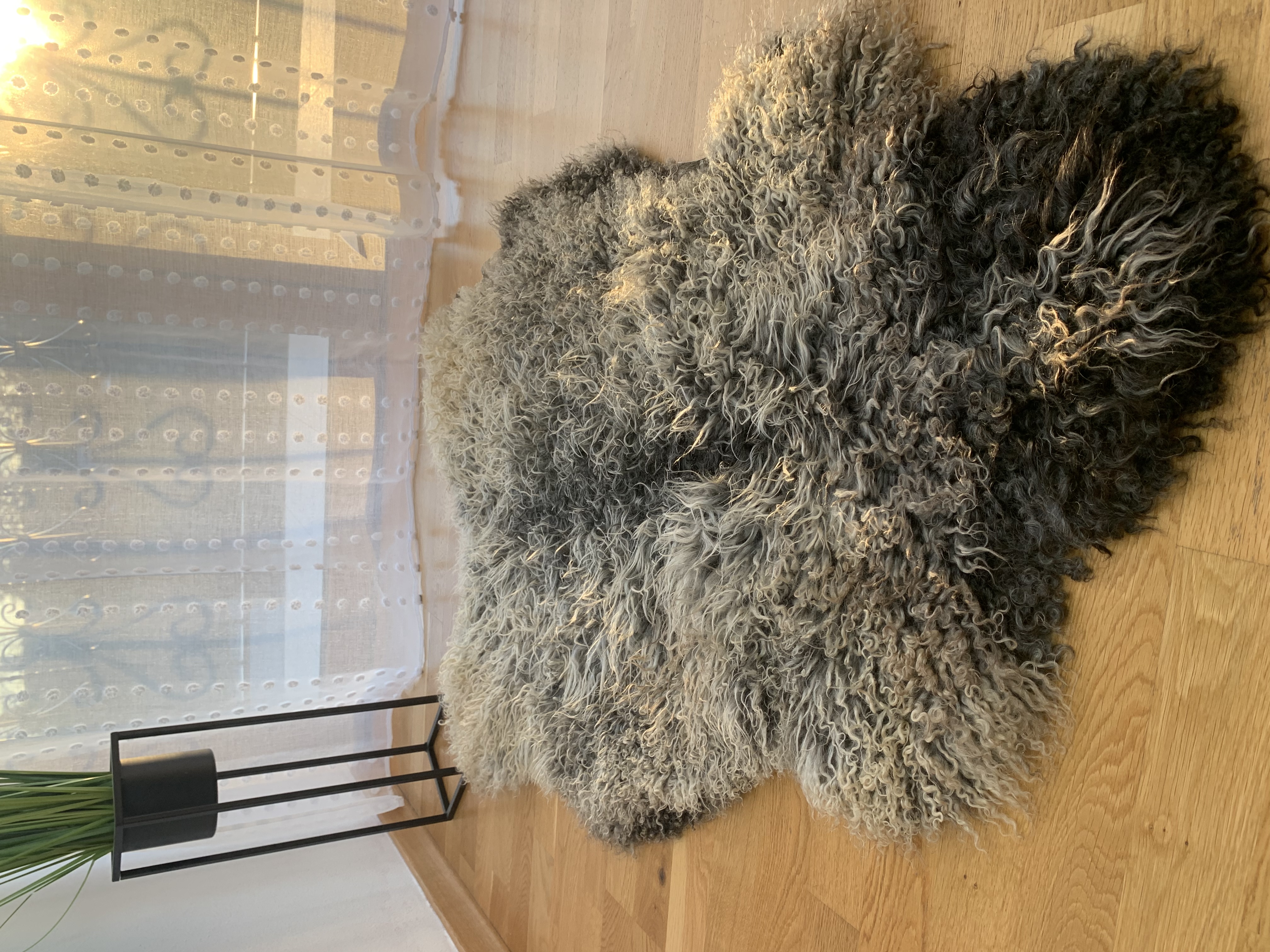 Skóry owcze - Skóry owcze Gotland Adam Leather