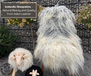 Skóry owcze - Skóry owcze islandzkie – naturalne piękno i jakość od Adam Leather