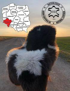 Skóry owcze - Ekologiczne i naturalne skóry owcze - garbarnia województwo dolnośląskie - Polska