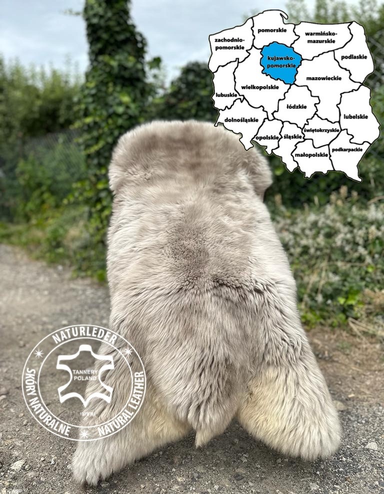 Skóry owcze - Skóry owcze z Bydgoszczy, województwo kujawsko-pomorskie, Polska
