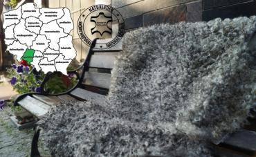Skóry owcze - Piękne puszyste skóry owcze - garbarnia województwo Opolskie - Polska