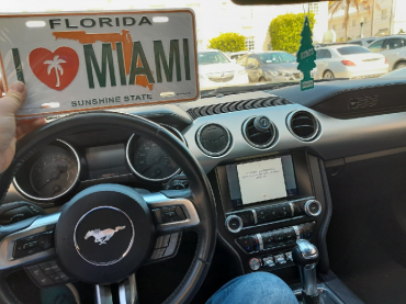 Skóry owcze - Podróż biznesowa do Miami- czas wolny!