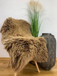 Skóra holenderska (3)