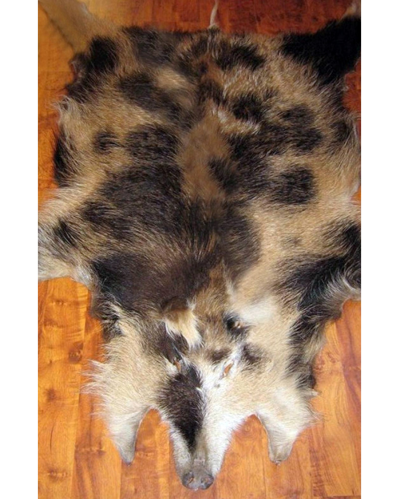 Boar skin