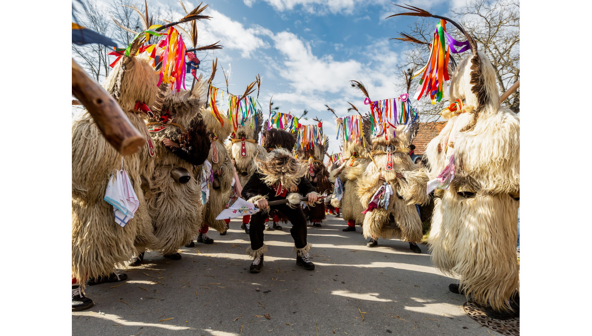 Langharige schapenvachten voor kostuums - "Kurentovanje" festival